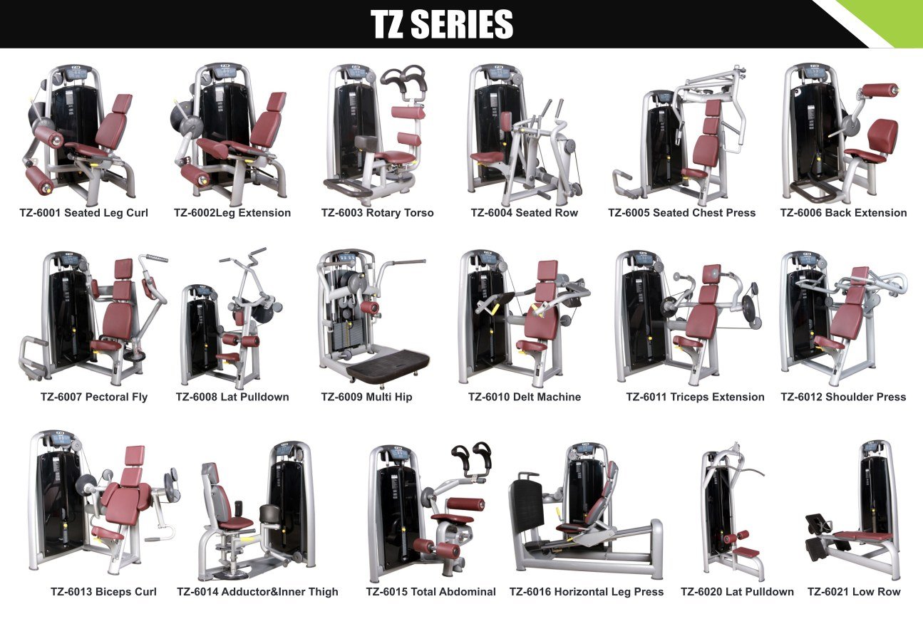 TZ strength series from Avision April 2026 catalogue